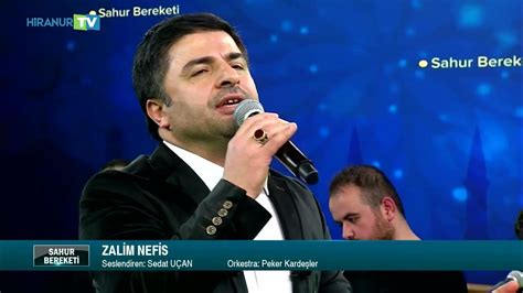  Doğan: Uçan Renkler ve Gökyüzünün Nefis Müzisyenleri!