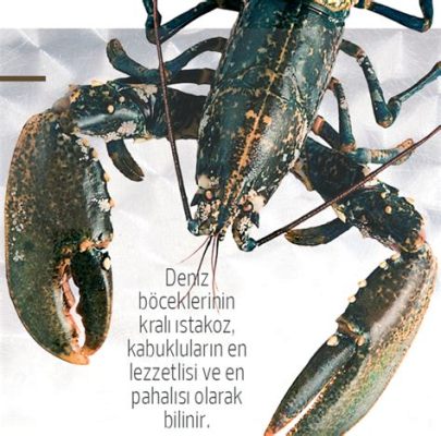  Granit Crabı: Denizlerin Gizli Hazine Avcısı mı?