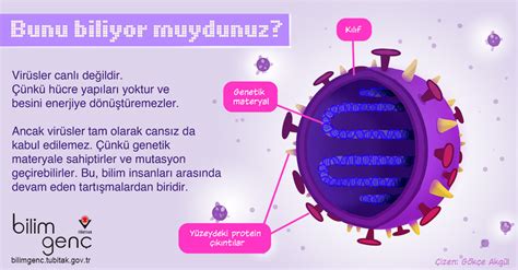  Kinetoplastida: Yüzgeçsiz Bir Canlı mı?