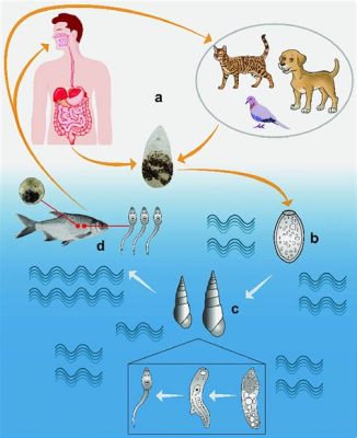  Metagonimus yokogawai: Can This Tiny Fluke Survive in Your Gut and Challenge Your Culinary Adventures?