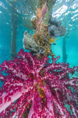  Yellow Fungus Coral: Discover This Colorful Underwater Fungus That Thrives In Tropical Shallow Waters!